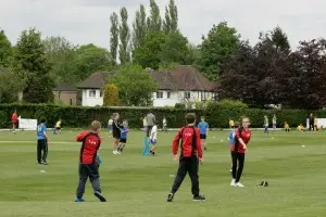 Kwik Cricket-9302