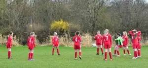 DSC 0025 (1)